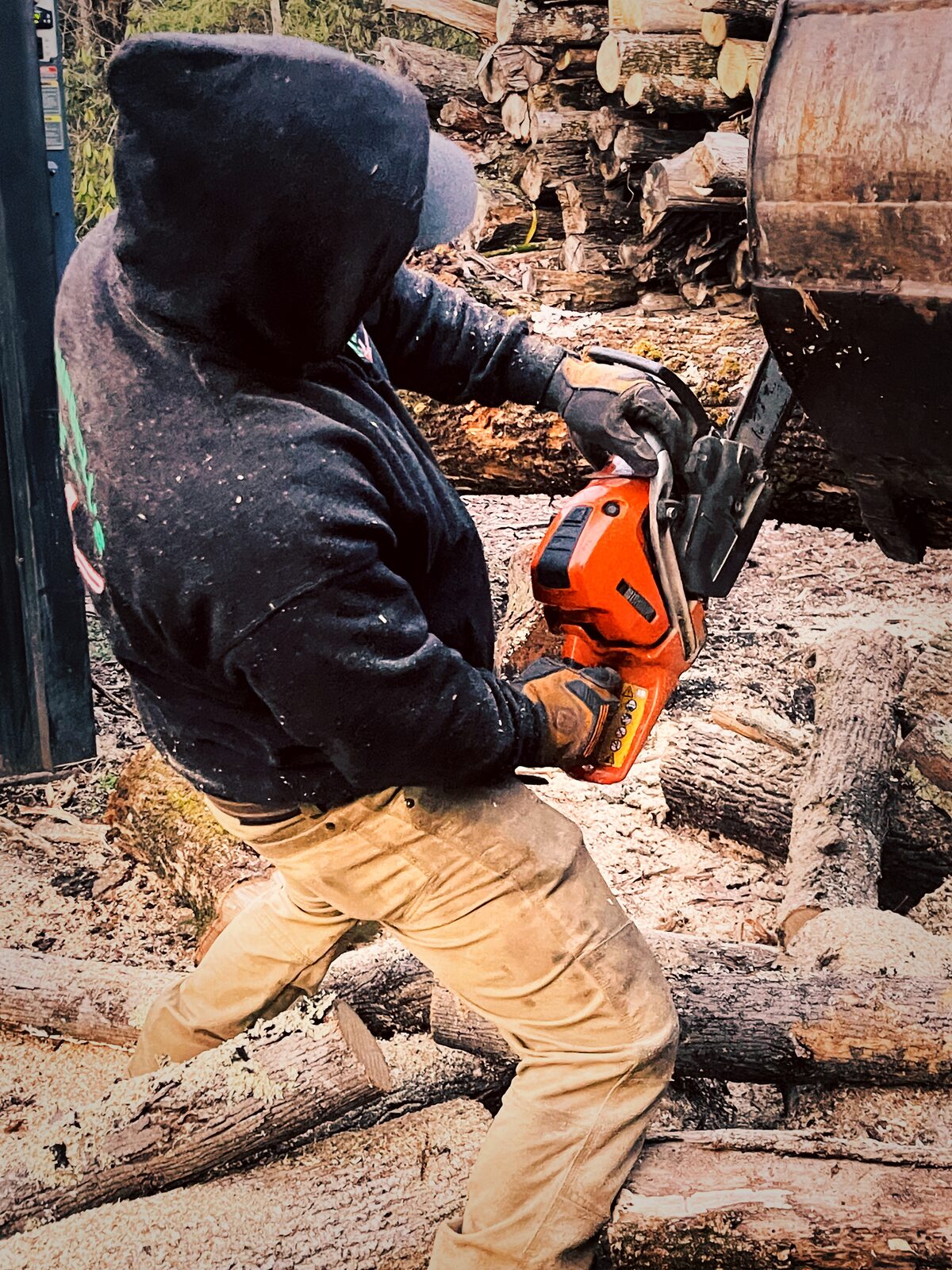 Log Bucking