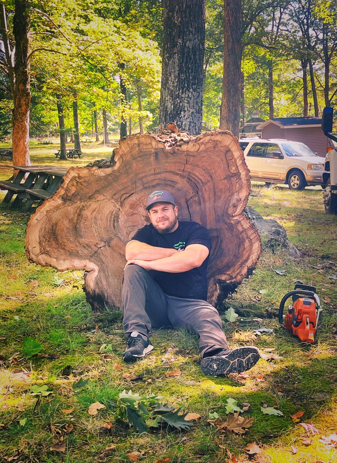 Campbell's Tree Service owner at work