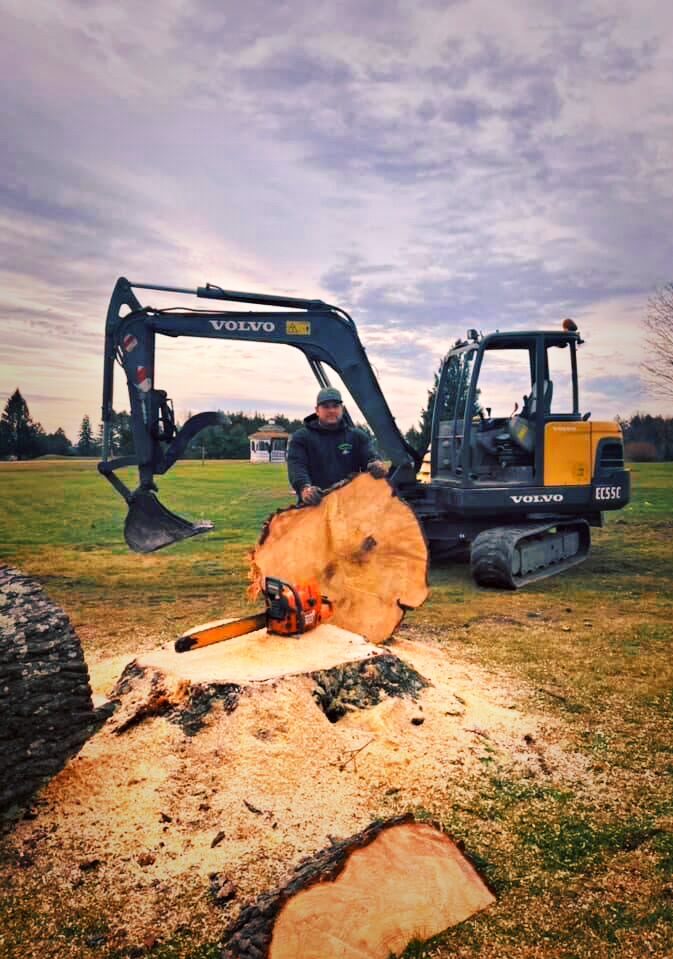 Tree Trimming
